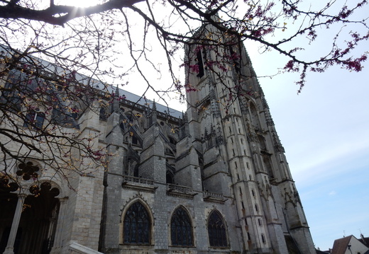 Cathédrale St Etienne